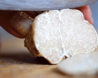 Стоимость белых трюфелей резко снизилась