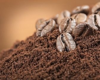 Кофе может исчезнуть с планеты к 2080 году